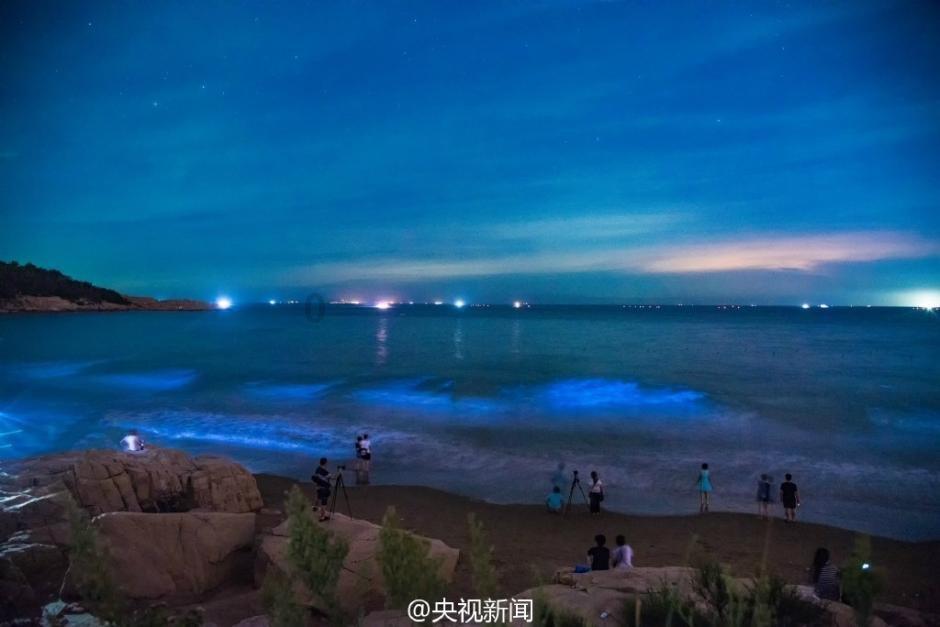 精彩交流,尽在「白人饭」是什么?为什么会突然走红?